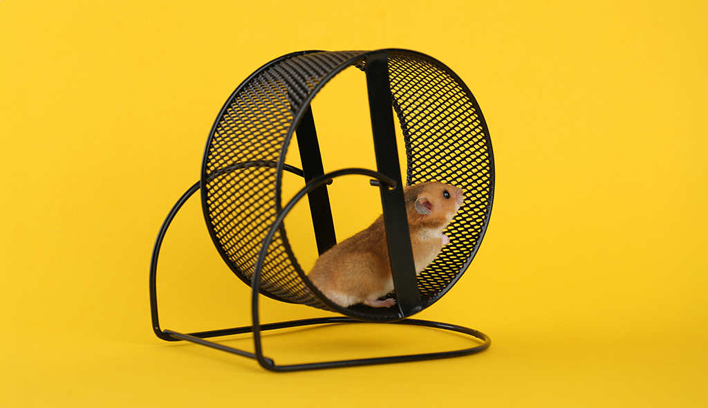 A hamster runs in a hamster wheel, stuck doing the same thing over and over. On a bright yellow background.