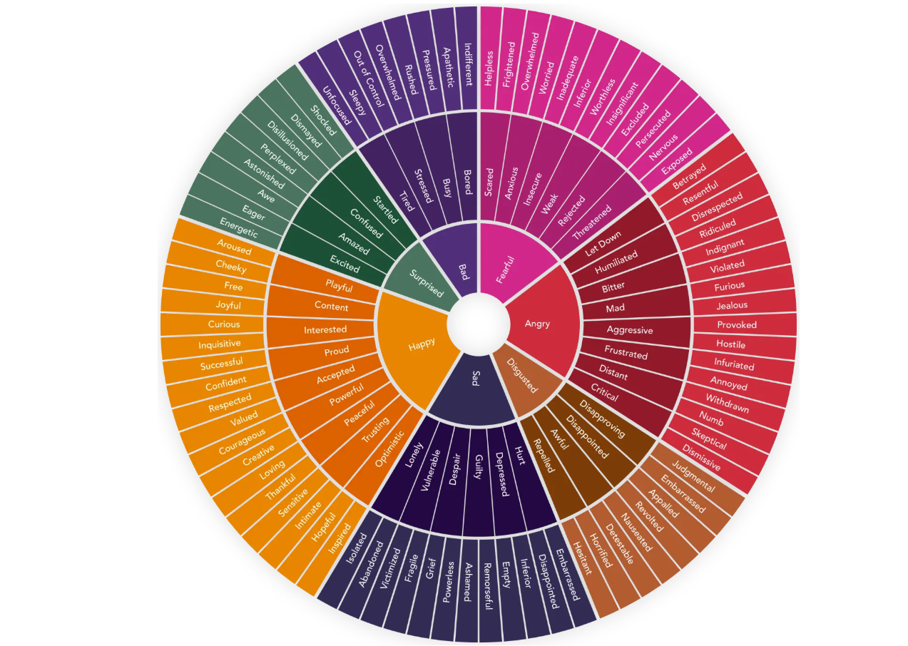 Feelings wheel