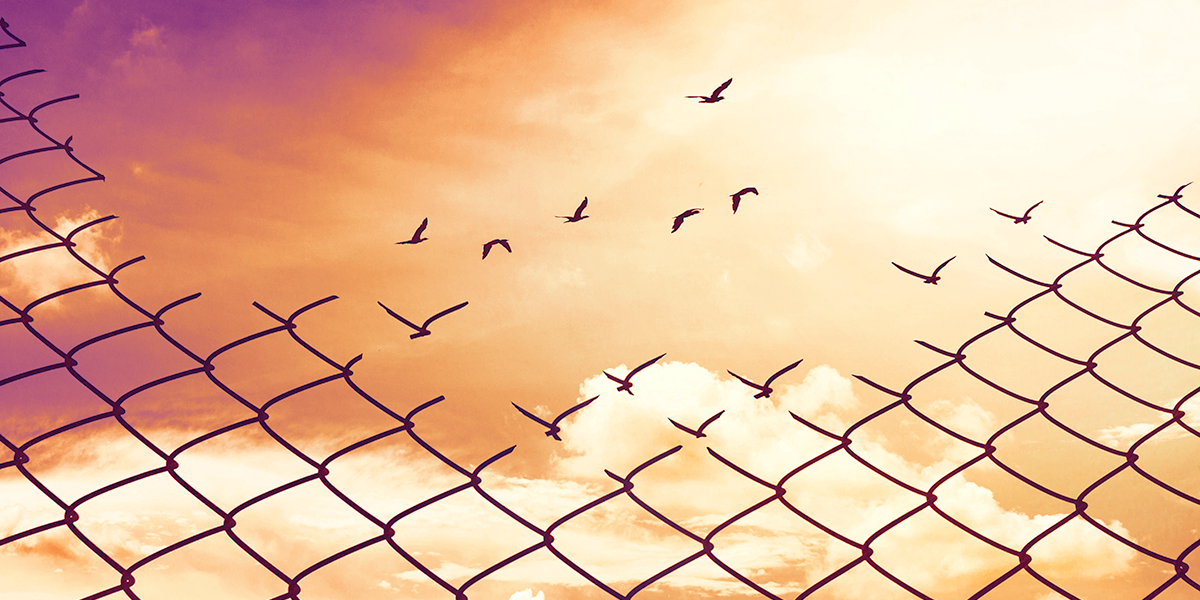 Chain-linked fence breaking away with birds flying free through a sunset sky with fluffy clouds