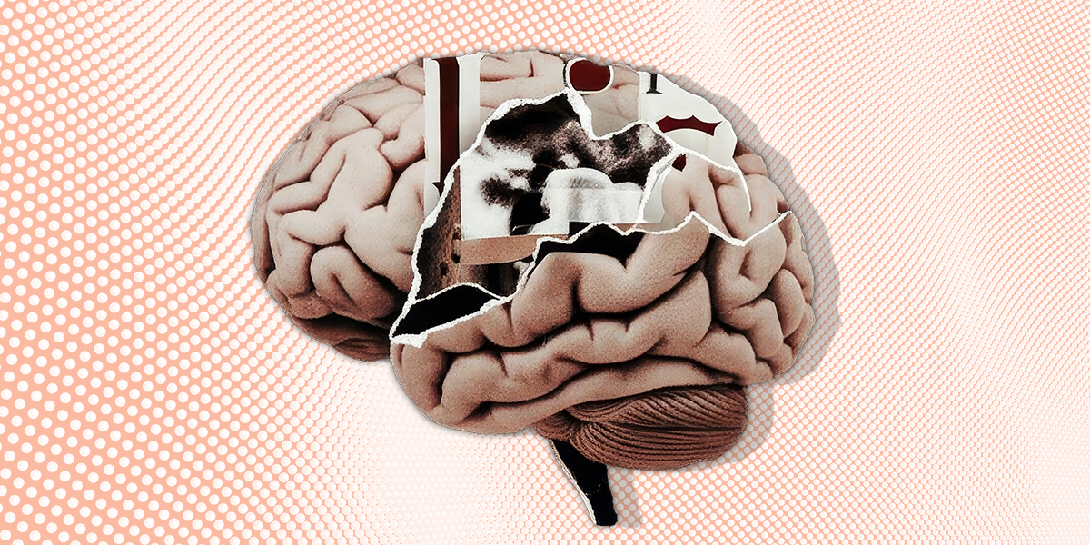 Brain