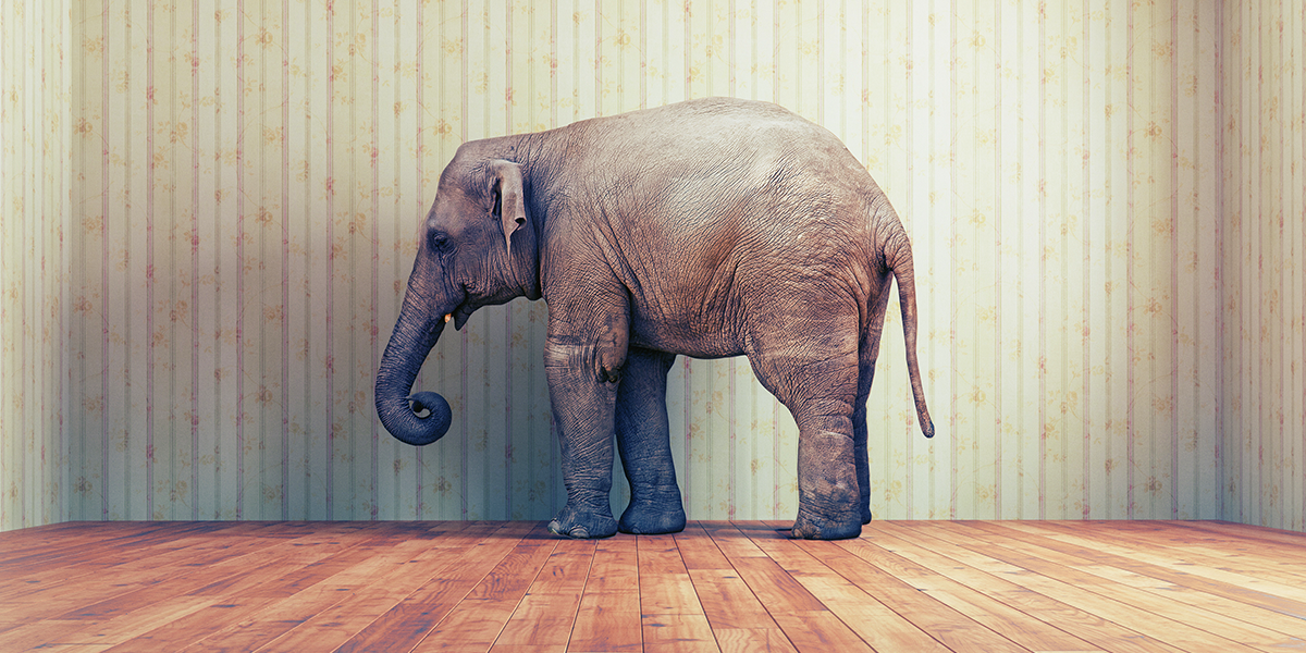 the elephant in the room